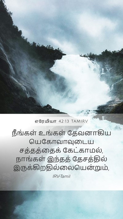 எரேமியா 42:13 TAMIRV Bible Verse Image