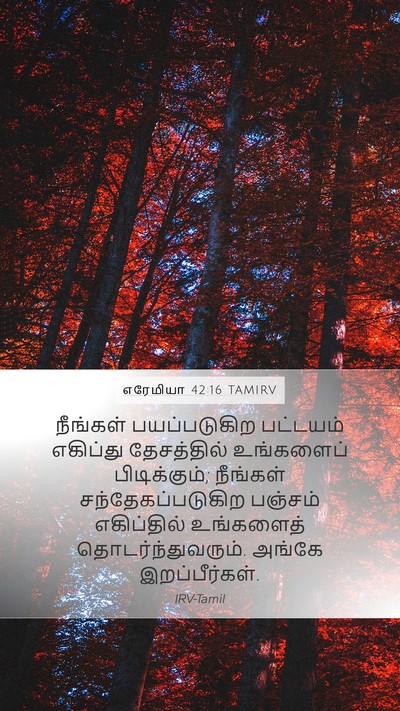 எரேமியா 42:16 TAMIRV Bible Verse Image