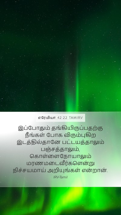எரேமியா 42:22 TAMIRV Bible Verse Image