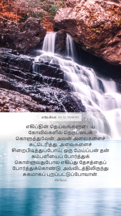 எரேமியா 43:12 TAMIRV Bible Verse Image