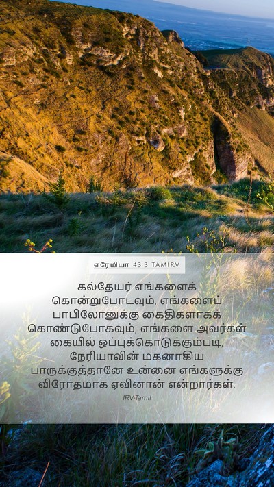 எரேமியா 43:3 TAMIRV Bible Verse Image
