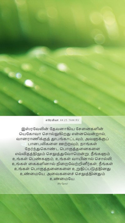 எரேமியா 44:25 TAMIRV Bible Verse Image