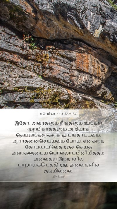 எரேமியா 44:3 TAMIRV Bible Verse Image