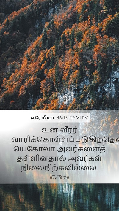 எரேமியா 46:15 TAMIRV Bible Verse Image