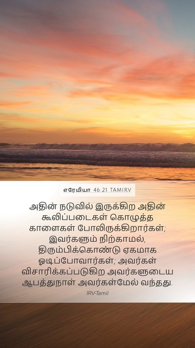 எரேமியா 46:21 TAMIRV Bible Verse Image