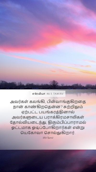 எரேமியா 46:5 TAMIRV Bible Verse Image