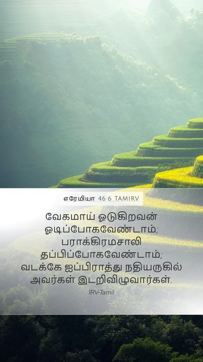 எரேமியா 46:6 TAMIRV Bible Verse Image