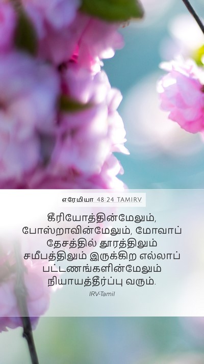 எரேமியா 48:24 TAMIRV Bible Verse Image