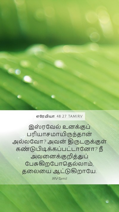 எரேமியா 48:27 TAMIRV Bible Verse Image
