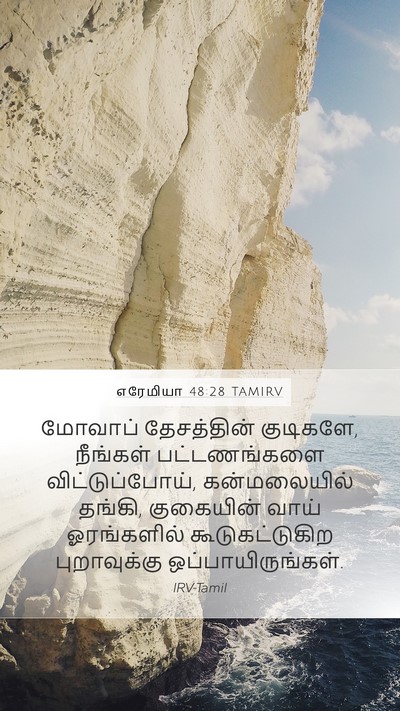 எரேமியா 48:28 TAMIRV Bible Verse Image