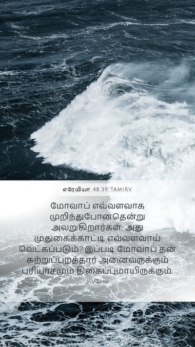 எரேமியா 48:39 TAMIRV Bible Verse Image