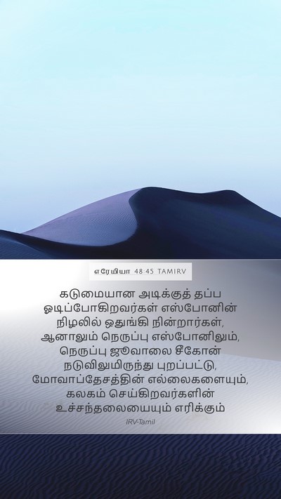 எரேமியா 48:45 TAMIRV Bible Verse Image