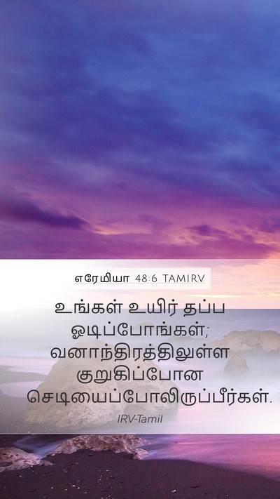 எரேமியா 48:6 TAMIRV Bible Verse Image