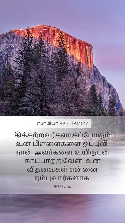 எரேமியா 49:11 TAMIRV Bible Verse Image