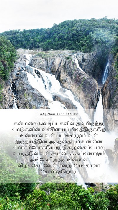 எரேமியா 49:16 TAMIRV Bible Verse Image