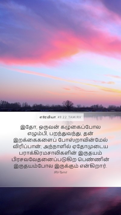 எரேமியா 49:22 TAMIRV Bible Verse Image