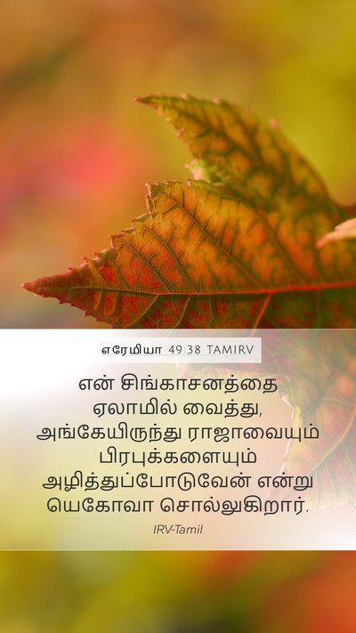 எரேமியா 49:38 TAMIRV Mobile Phone Wallpaper - என் சிங்காசனத்தை - Mobile Bible Verse Wallpaper
