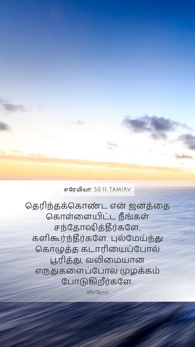 எரேமியா 50:11 TAMIRV Bible Verse Image