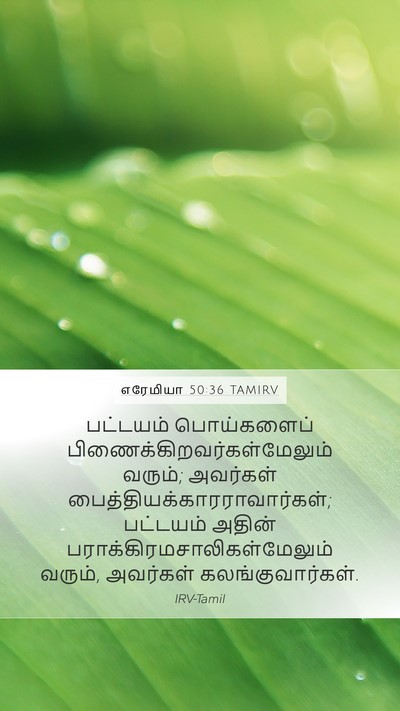 எரேமியா 50:36 TAMIRV Bible Verse Image