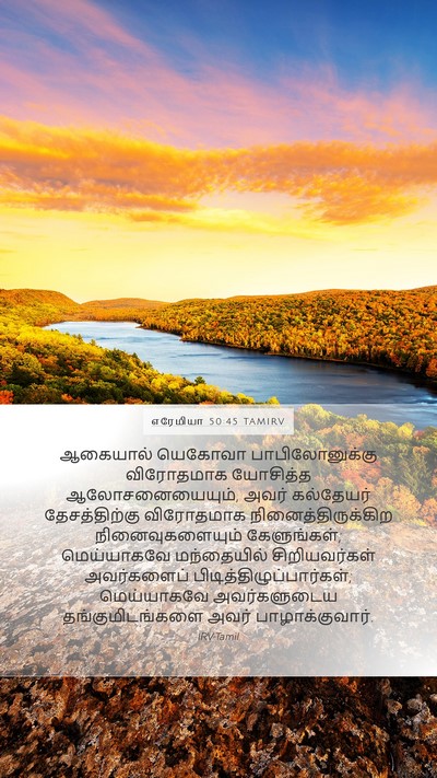 எரேமியா 50:45 TAMIRV Bible Verse Image