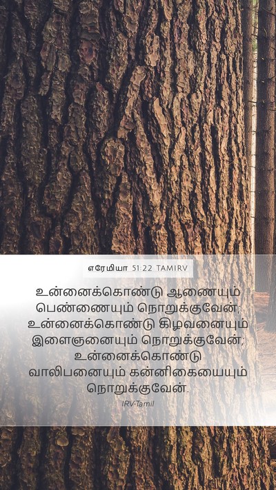 எரேமியா 51:22 TAMIRV Mobile Phone Wallpaper - உன்னைக்கொண்டு - Mobile Bible Verse Wallpaper