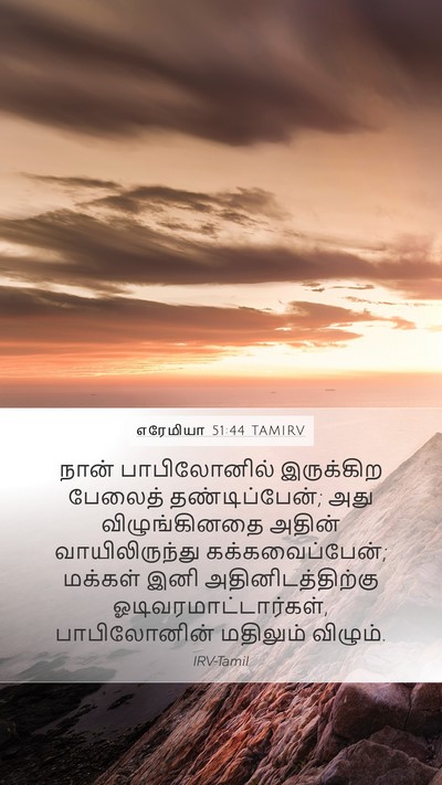எரேமியா 51:44 TAMIRV Bible Verse Image