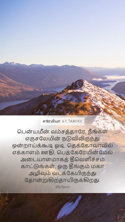 எரேமியா 6:1 TAMIRV Bible Verse Image