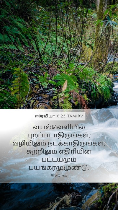 எரேமியா 6:25 TAMIRV Bible Verse Image