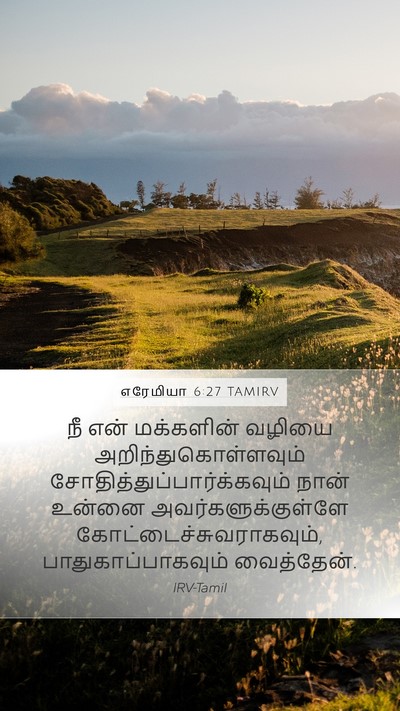 எரேமியா 6:27 TAMIRV Mobile Phone Wallpaper - நீ என் மக்களின் - Mobile Bible Verse Wallpaper