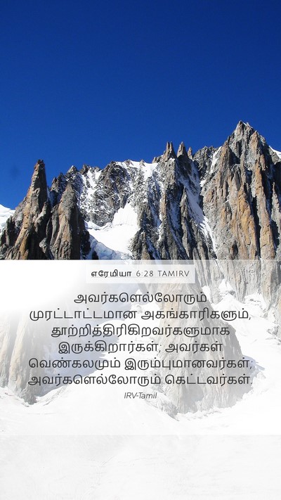 எரேமியா 6:28 TAMIRV Bible Verse Image
