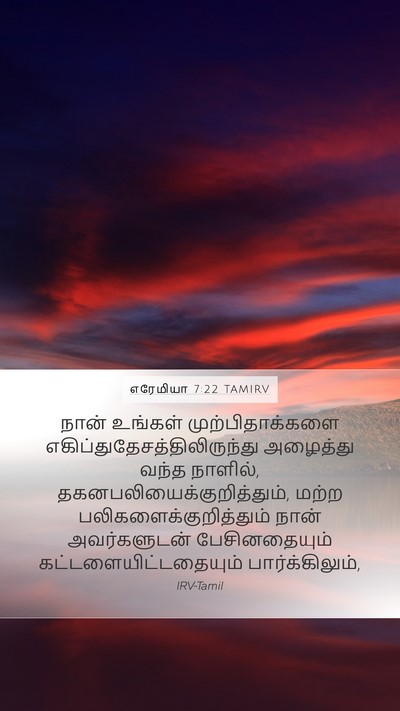 எரேமியா 7:22 TAMIRV Bible Verse Image