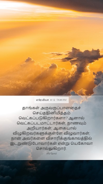 எரேமியா 8:12 TAMIRV Bible Verse Image