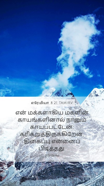 எரேமியா 8:21 TAMIRV Bible Verse Image