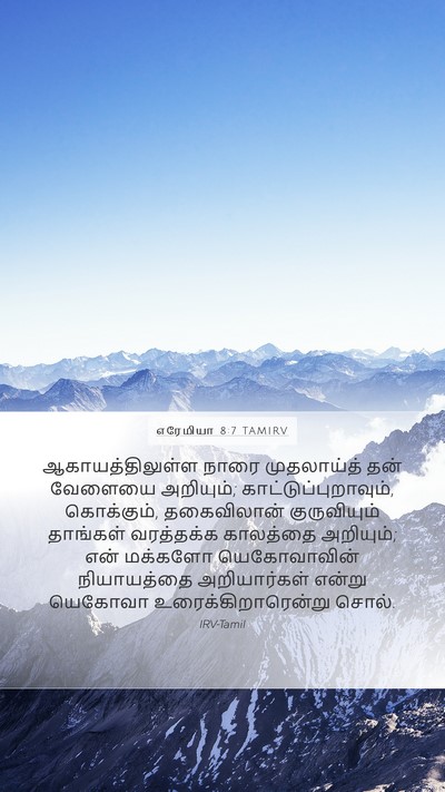 எரேமியா 8:7 TAMIRV Bible Verse Image
