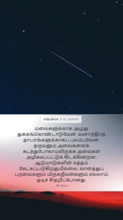 எரேமியா 9:10 TAMIRV Bible Verse Image