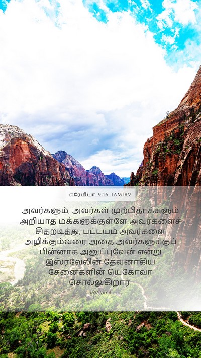 எரேமியா 9:16 TAMIRV Bible Verse Image