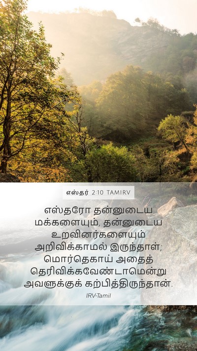 எஸ்தர் 2:10 TAMIRV Mobile Phone Wallpaper - எஸ்தரோ தன்னுடைய - Mobile Bible Verse Wallpaper