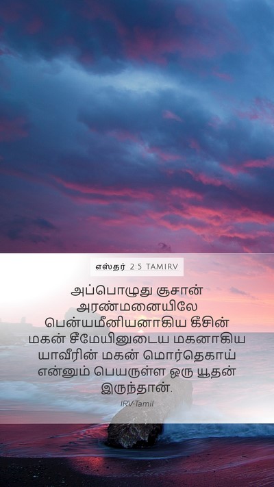 எஸ்தர் 2:5 TAMIRV Mobile Phone Wallpaper - அப்பொழுது சூசான் - Mobile Bible Verse Wallpaper