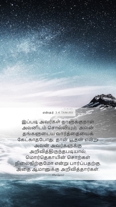 எஸ்தர் 3:4 TAMIRV Mobile Phone Wallpaper - இப்படி அவர்கள் - Mobile Bible Verse Wallpaper