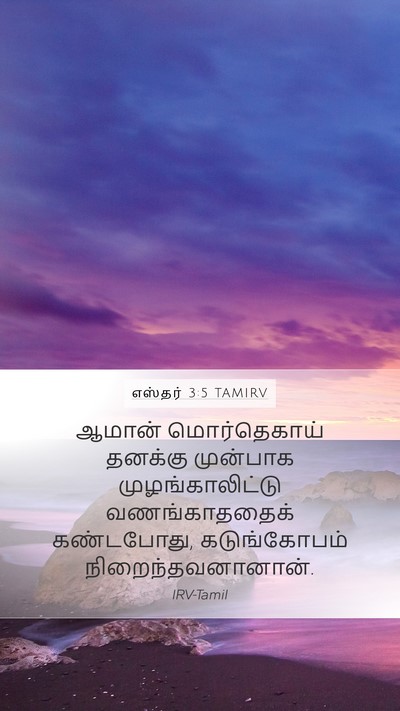 எஸ்தர் 3:5 TAMIRV Bible Verse Image