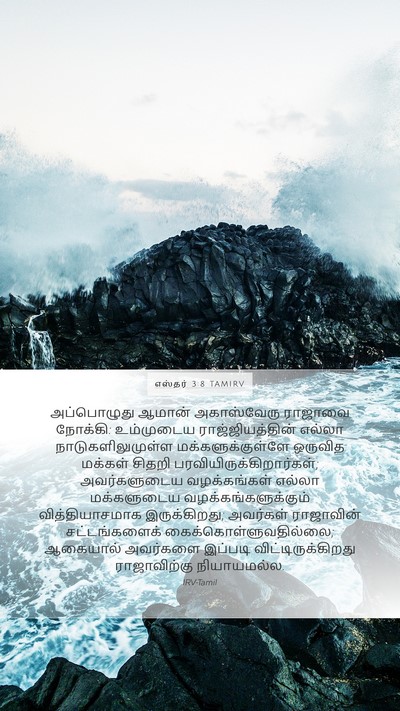 எஸ்தர் 3:8 TAMIRV Bible Verse Image