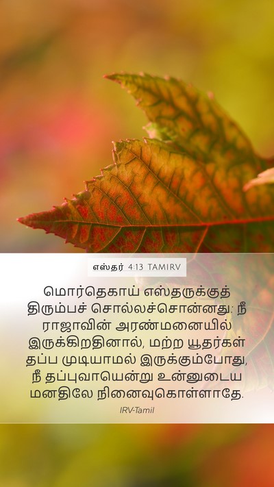 எஸ்தர் 4:13 TAMIRV Bible Verse Image