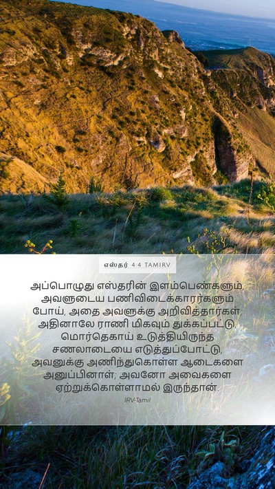 எஸ்தர் 4:4 TAMIRV Bible Verse Image