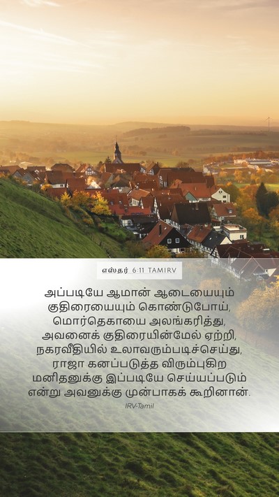 எஸ்தர் 6:11 TAMIRV Bible Verse Image