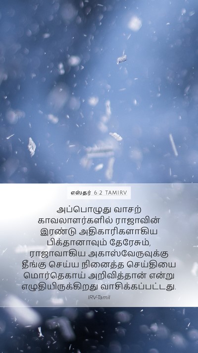 எஸ்தர் 6:2 TAMIRV Bible Verse Image