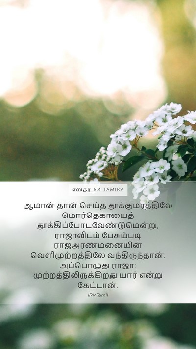 எஸ்தர் 6:4 TAMIRV Bible Verse Image