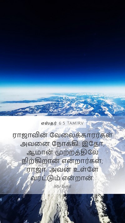 எஸ்தர் 6:5 TAMIRV Mobile Phone Wallpaper - ராஜாவின் - Mobile Bible Verse Wallpaper