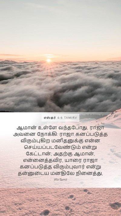 எஸ்தர் 6:6 TAMIRV Mobile Phone Wallpaper - ஆமான் உள்ளே - Mobile Bible Verse Wallpaper