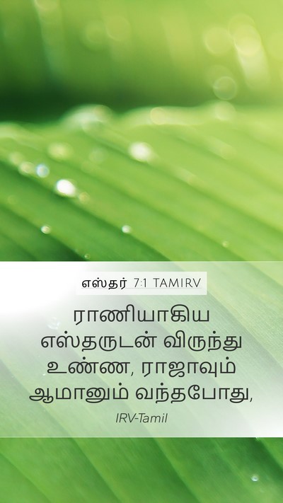 எஸ்தர் 7:1 TAMIRV Mobile Phone Wallpaper - ராணியாகிய - Mobile Bible Verse Wallpaper