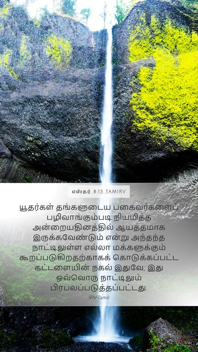 எஸ்தர் 8:13 TAMIRV Mobile Phone Wallpaper - யூதர்கள் - Mobile Bible Verse Wallpaper
